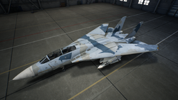 F-14D Super Tomcat | Acepedia | Fandom F-14D Super Tomcat | Acepedia | Fandom