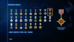 AC7 Campaign Medals Gold Ace