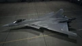Hangar view of Skin 06