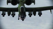 A10A Skin 01 off border.png (799 KB) Flyby