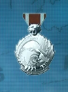 AC3D Medal 10 Beast Slayer