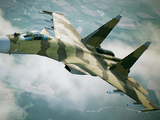 Su-37 Terminator