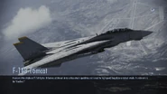 F-14B Tomcat loading screen.png (1.3 MB) Loading screen