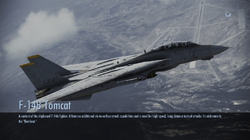 F-14B Tomcat | Acepedia | Fandom