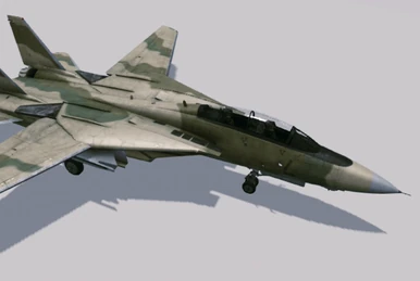 F-14B Tomcat | Acepedia | Fandom