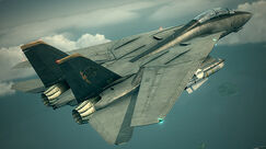 F-14d wardog
