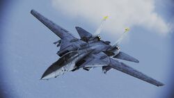 F-14B Tomcat Wingspan.jpg