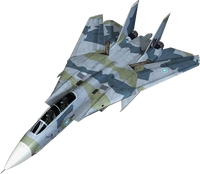 F-14D Super Tomcat (Aurelia)