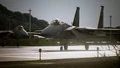 Osean F-15C with Air Combat Commando emblem