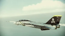 F-14D "Jolly Rogers" (Pack 6) Included in Aircraft Skin Pack 2