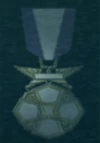 AC5 Grand Falcon Medal