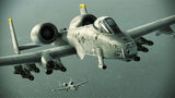 Warthog I.jpg