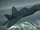 F-22A -INDIGO WING-