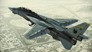 Warwolf F14D