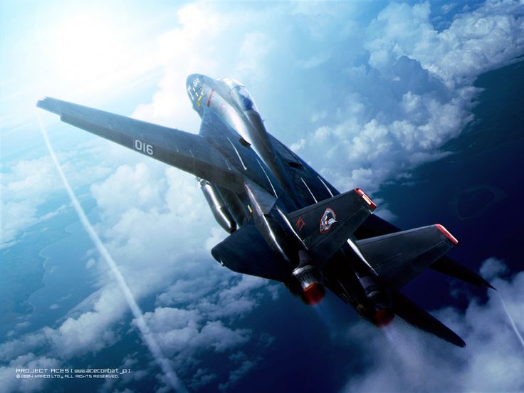 Ace Combat 7: Skies Unknown, Acepedia