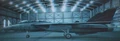 An F-14D in the Hangar