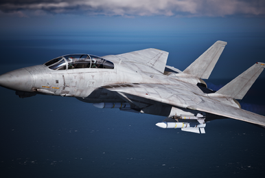 F-14 | Acepedia | Fandom