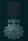 AC5 Silver Ace Medal