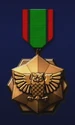 AC6 Night Owl Medal