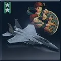 F-15E -Gemini- Aircraft 200 Tickets