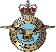 Royal Airforce Badge