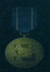 AC5 Guardian Medal