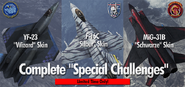 Banner advertising the "Schwarze" Skin, the YF-23 "Wizard" Skin and the F-16C "Silber" Skin