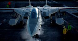 Hasegawa - SP335 (SP616) - (ACE Combat) F-14A Tomcat 