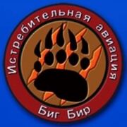 Big Bear sqdrn emblem