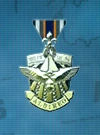 AC3D Medal 12 Swan Hunter