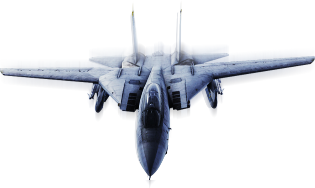 F-14D Super Tomcat, Acepedia