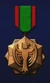 AC6 Raging Falcon Medal