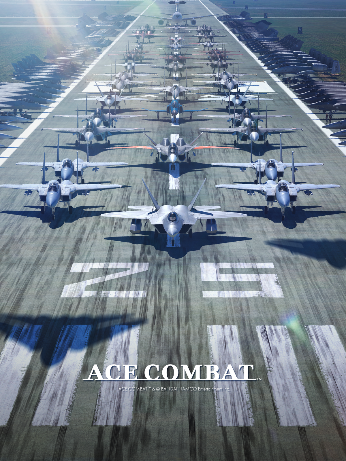 Ace Combat, Acepedia