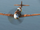 Bf 109 G-10 -Flying Aces-
