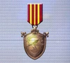Ace x mp medal bronze defender
