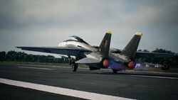 F-14A Tomcat | Acepedia | Fandom