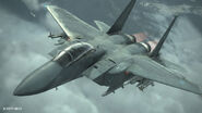 An F-15E -MOBIUS- aircraft