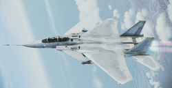 ACE COMBAT™ 7: SKIES UNKNOWN - F-15 S/MTD Set