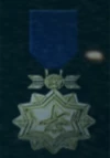 AC5 Gold Ace Medal