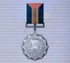 Ace x sp medal silver wing