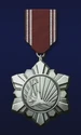 AC6 Needle's Eye Medal