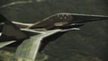 Flyby over Paris