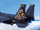 F-15E -Gemini-