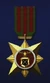 AC6 Guardian Medal