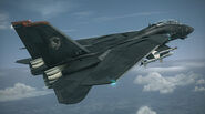 F-14D -RAZGRIZ-