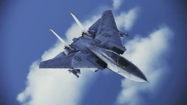 F-14B Tomcat Front