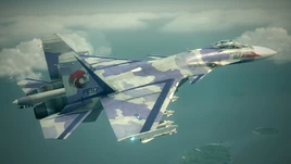 Su-33 -TYPE ACE2-