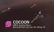 Cocoon Squadron in flight