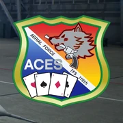 AC7 ACES Emblem Hangar