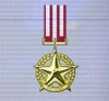 Ace x mp medal gold star of victory